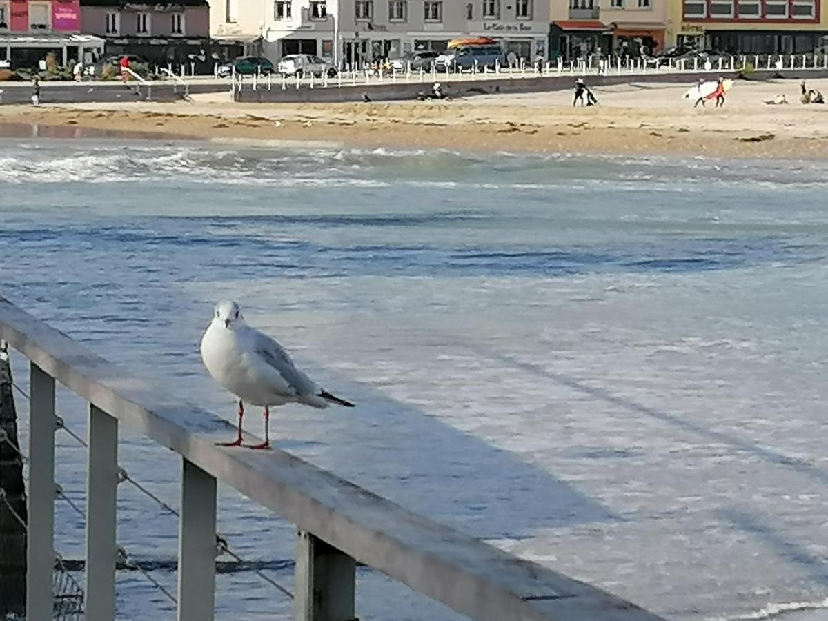 T1Bis, 100M De La Belle Plage De Morgat Crozon Luaran gambar